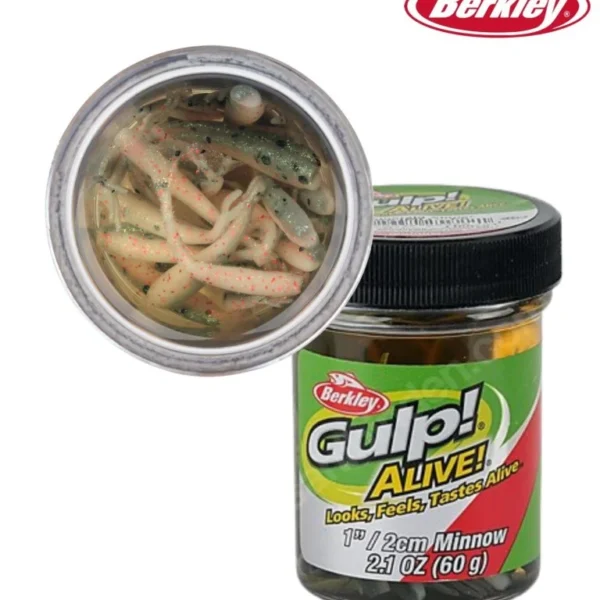 Berkley Gulp Alive 1'' Inc Minnow Silikon Yem